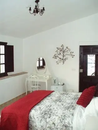 Superior Tek Büyük Yataklı Oda, 1 En Büyük (King) Boy Yatak, Bahçe Manzaralı