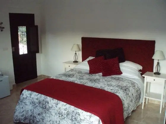 Superior Tek Büyük Yataklı Oda, 1 En Büyük (King) Boy Yatak, Bahçe Manzaralı