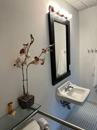 Deluxe Stüdyo
