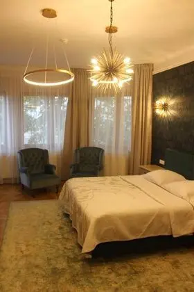 Standard Stüdyo Süit, 1 En Büyük (King) Boy Yatak ve Çekyat, Şehir Manzaralı