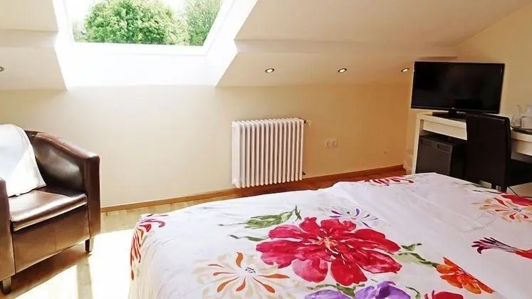 Tek Büyük Yataklı Oda, 1 Çift Kişilik Yatak (2.1)