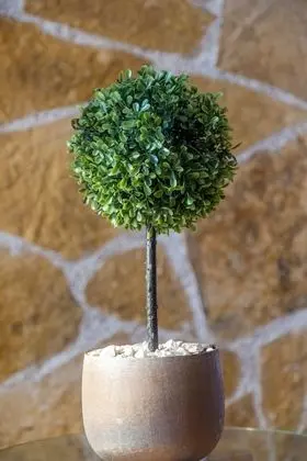 Çatı Katı Süiti (Penthouse), 4 Yatak Odası