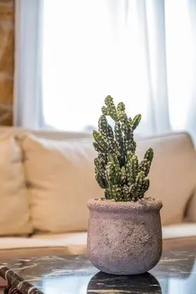 Çatı Katı Süiti (Penthouse), 4 Yatak Odası