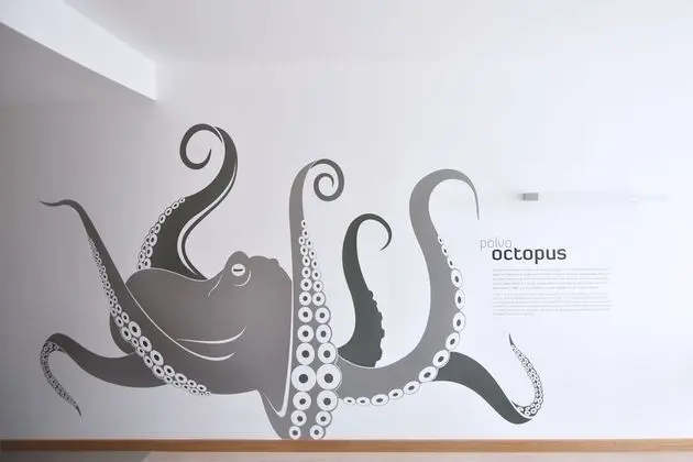 Tek Büyük Yataklı Oda, 1 Çift Kişilik Yatak, Özel Banyo, Deniz Manzaralı (Octopus)