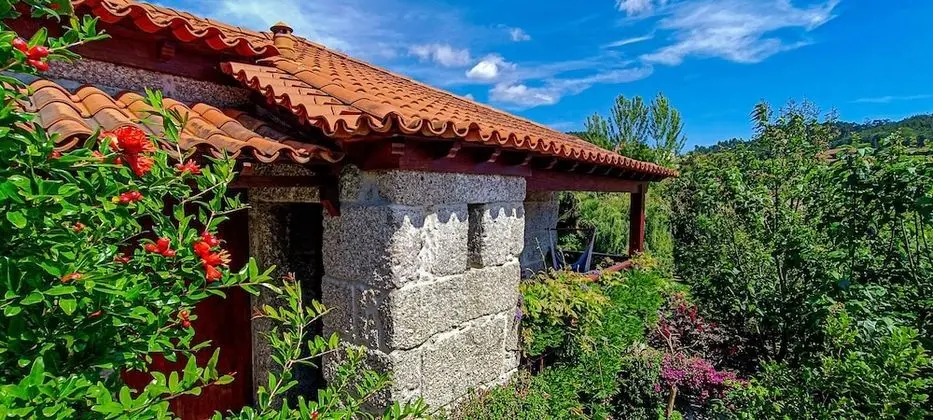 Traditional Stüdyo