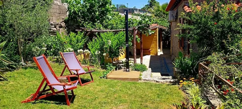 Traditional Stüdyo