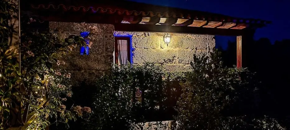Traditional Stüdyo