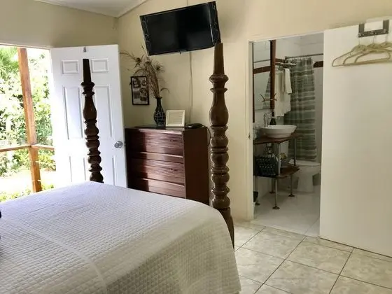 Deluxe Oda, 1 Çift Kişilik Yatak, Buzdolabı, Bahçe Manzaralı