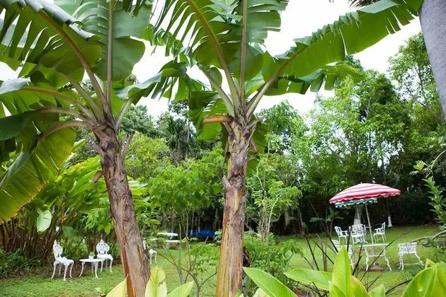 Superior Süit, 1 Yatak Odası, Mutfak, Bahçe Manzaralı