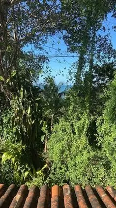 Panoramic Tek Büyük Yataklı Oda