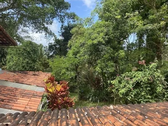 Panoramic Tek Büyük Yataklı Oda