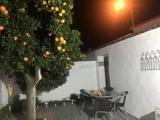 Ev, 2 Yatak Odası, Teras