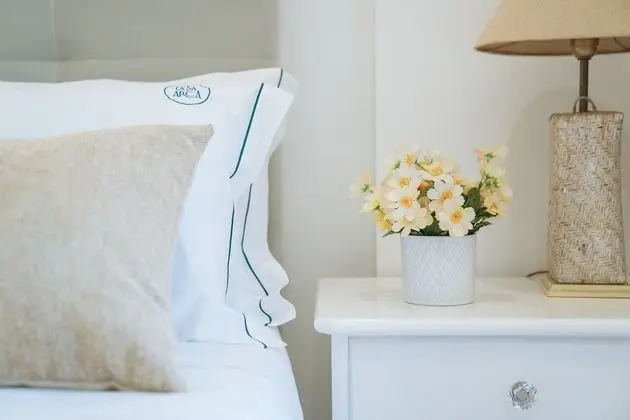 Comfort Kır Evi, 1 Büyük (Queen) Boy Yatak, Üzüm Asması Manzaralı