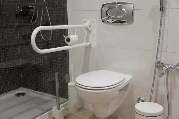 Deluxe Stüdyo, Engellilere Uygun, Küçük Mutfak
