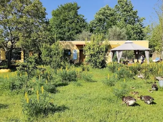 Casa dos Aromas