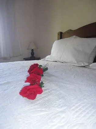 Standard Büyük Yataklı Tek Kişilik Oda, 1 Büyük (Queen) Boy Yatak