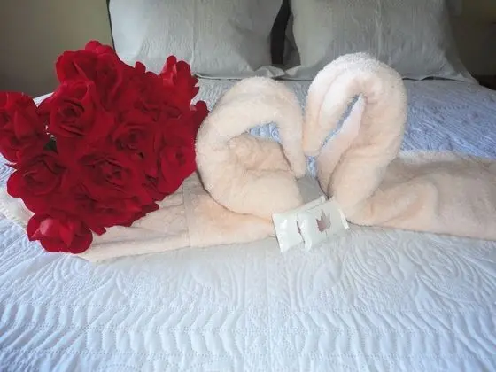 Standard Büyük Yataklı Tek Kişilik Oda, 1 Büyük (Queen) Boy Yatak