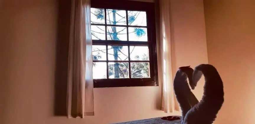 Romantic Tek Büyük Yataklı Oda