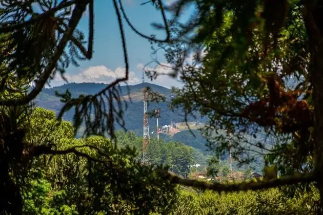 Romantic Tek Büyük Yataklı Oda