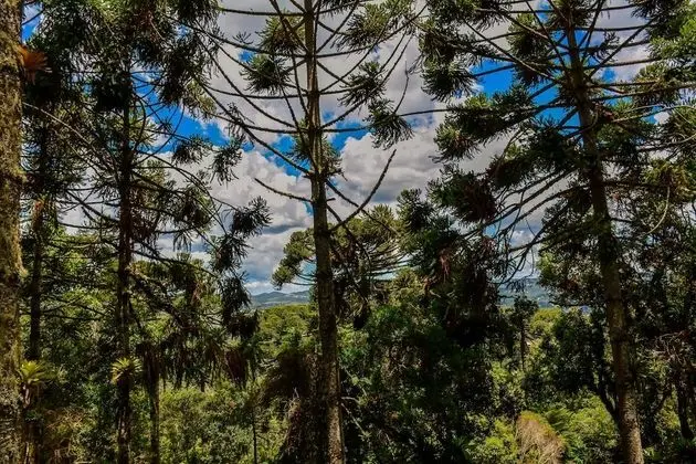 Romantic Tek Büyük Yataklı Oda