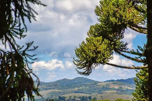 Romantic Tek Büyük Yataklı Oda