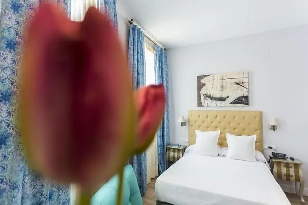 Superior Apart Daire, 1 Yatak Odası