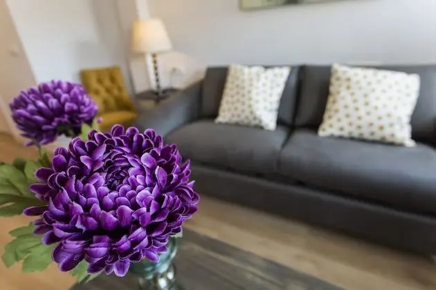 Superior Apart Daire, 1 Yatak Odası