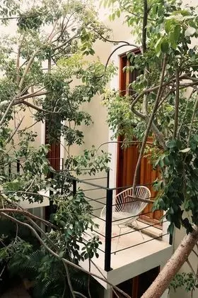 Deluxe Oda, Bahçe Manzaralı