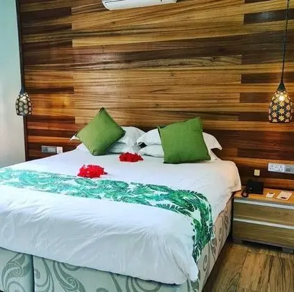 Bungalov, 1 Yatak Odası