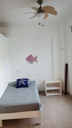 Ev