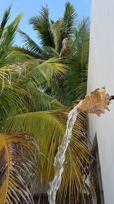 Ev