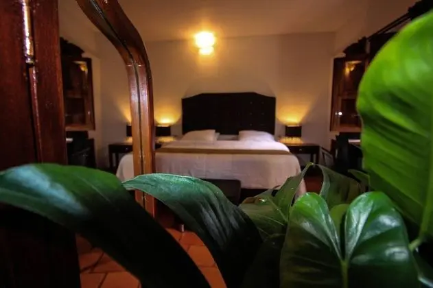 Deluxe Oda, 1 En Büyük (King) Boy Yatak, Banyolu/Duşlu, Bahçe Manzaralı