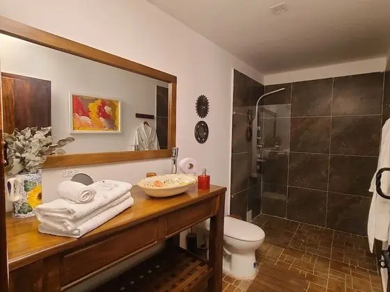 Superior Oda, 1 Çift Kişilik Yatak