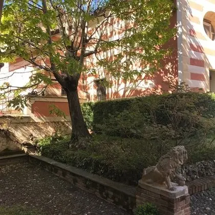 Comfort Oda, 1 Çift Kişilik Yatak