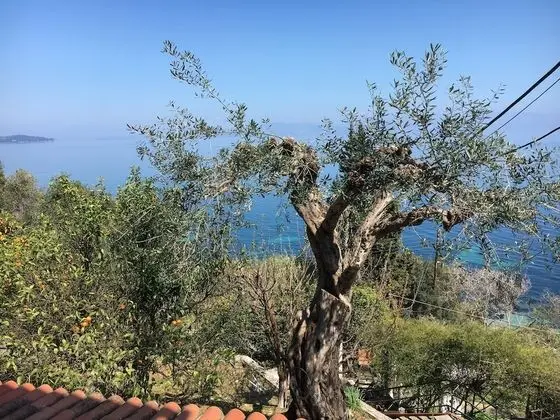 Kır Evi, 2 Yatak Odası, Bahçe Manzaralı
