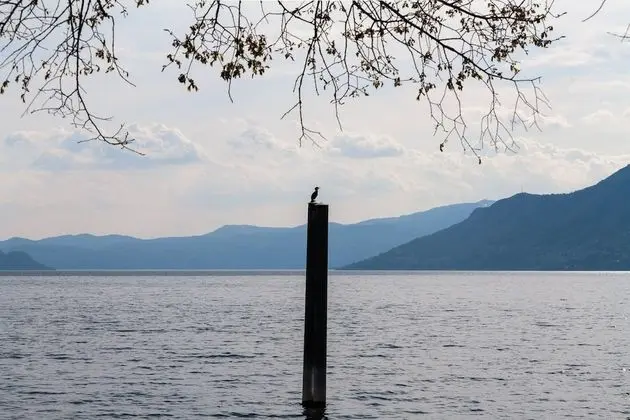 Apart Daire, 1 Yatak Odası, Balkon