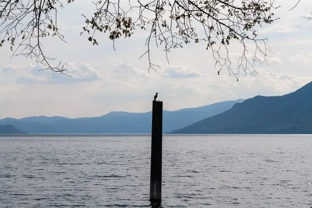 Apart Daire, 1 Yatak Odası, Mikrodalga