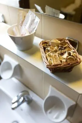 Standard Üç Kişilik Oda, Şehir Manzaralı