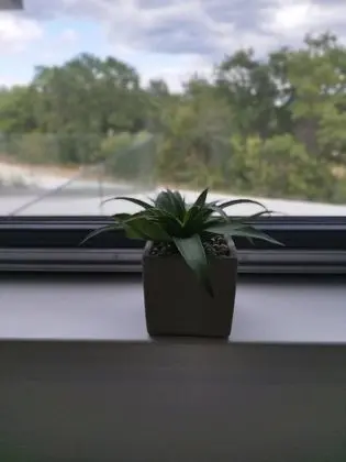 Villa, 3 Yatak Odası, Balkon