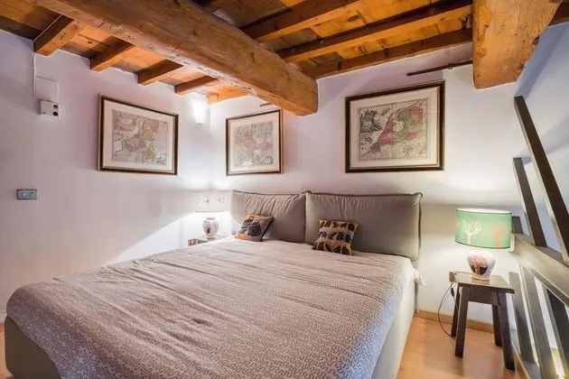 Çatı Katı (Loft), 1 Yatak Odası