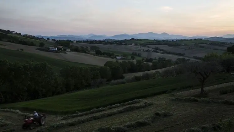 Comfort Tek Büyük Yataklı Oda, 1 Yatak Odası