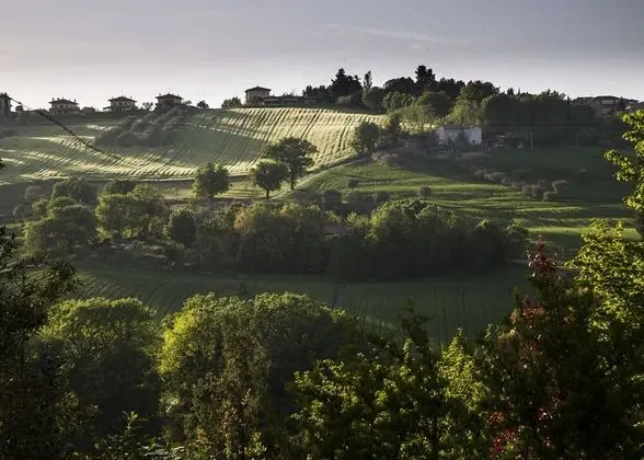 Comfort Tek Büyük Yataklı Oda, 1 Yatak Odası