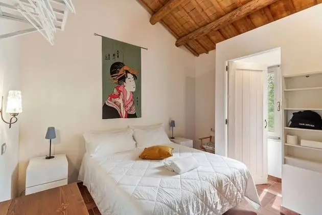 Economy Büyük Yataklı Tek Kişilik Oda, 1 Çift Kişilik Yatak, Bahçe Manzaralı