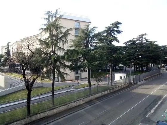 Tek Büyük Yataklı Oda (Giulietta)