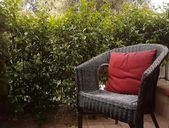 Tek Kişilik Oda, Balkon (Private External Bathroom)