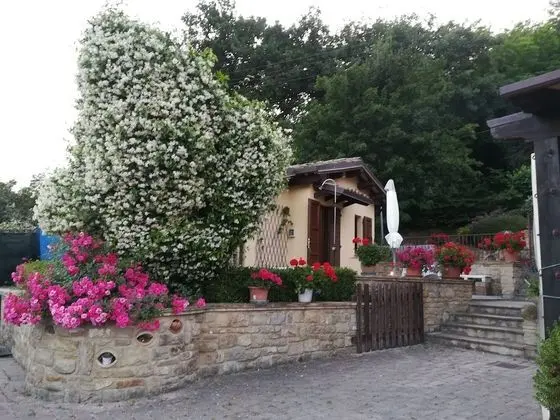 Romantic Tek Kişilik Oda