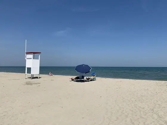 Ev