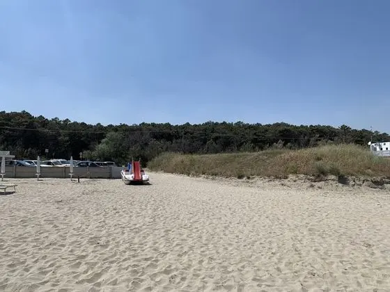 Ev