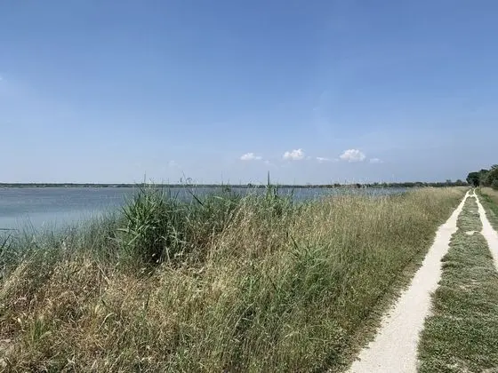 Ev