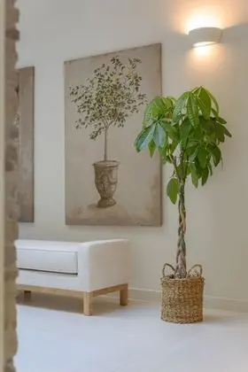 Azalea Suite